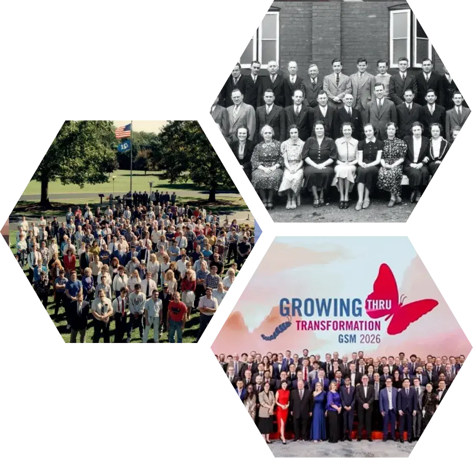 Long Term Growth
